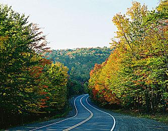 横版过关游戏《暴走仙掌人》5月13日发售 支持简体中文